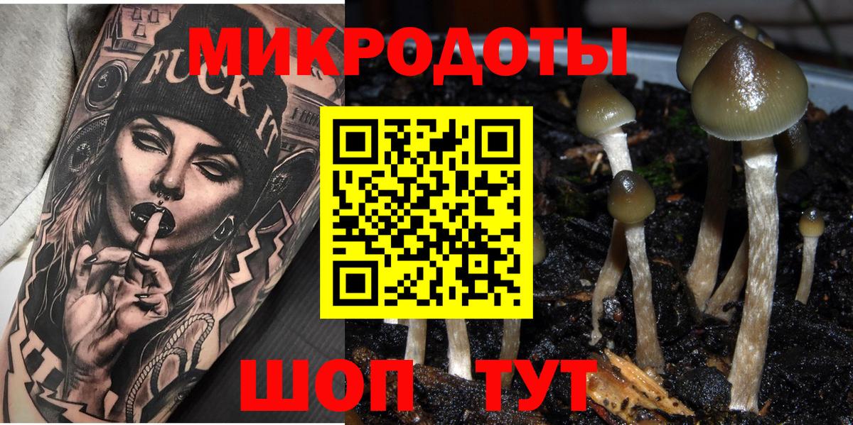 Псилоцибиновые грибы прущие грибы Чебаркуль