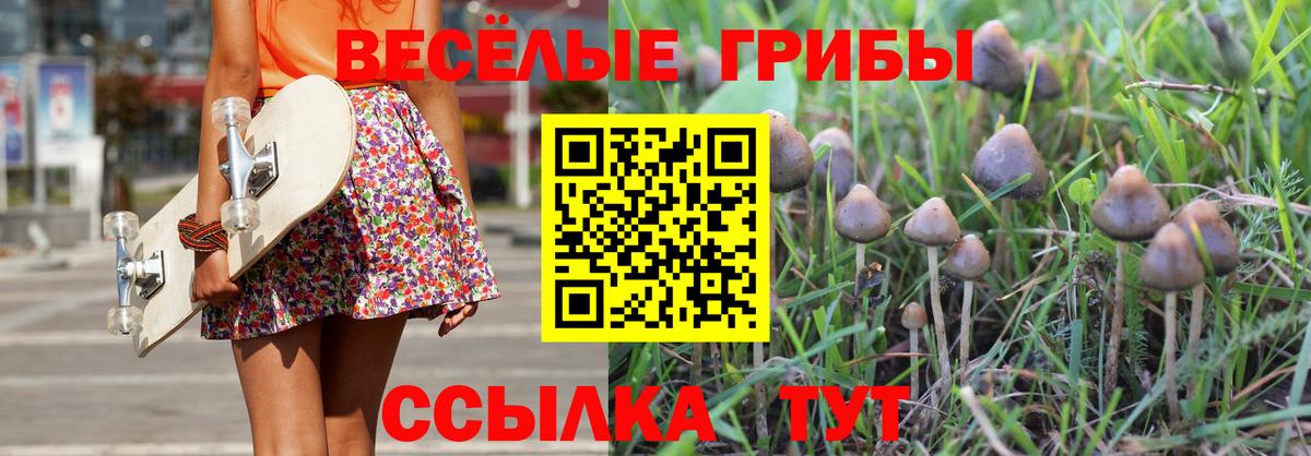 Чебаркуль  Галлюциногенные грибы мухоморы  Вход с VPN 